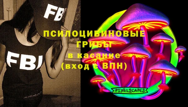 стаф Волоколамск