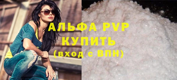 стаф Волоколамск