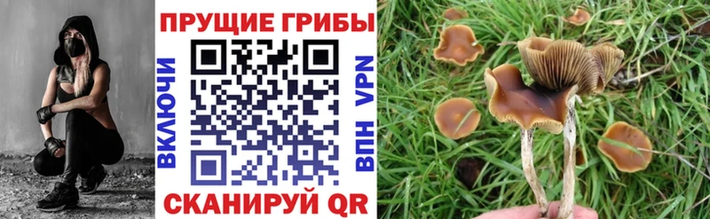 Псилоцибиновые грибы GOLDEN TEACHER Воскресенск